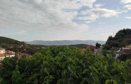 Το Αρχοντικό της Λενιώς - Foto 7