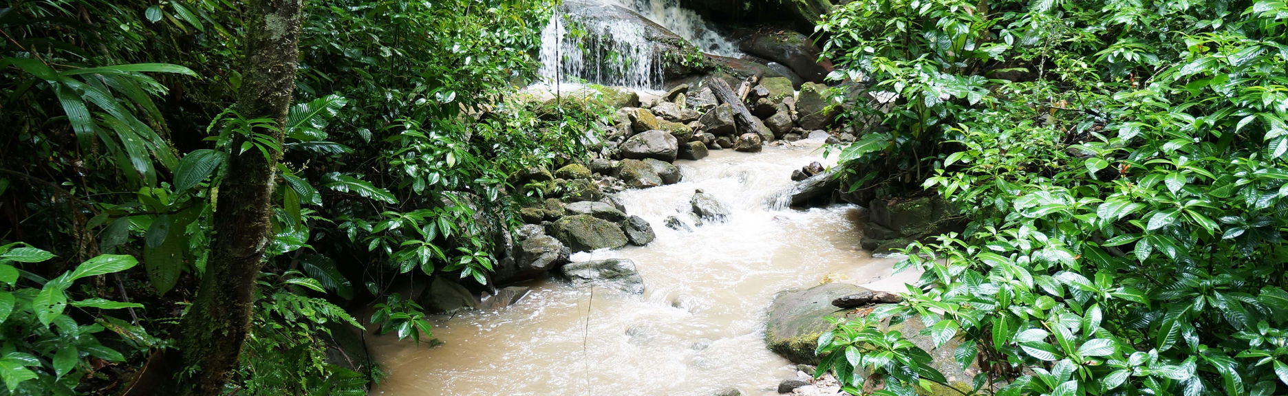 Escursione alla cascata di Ahuashiyacu
