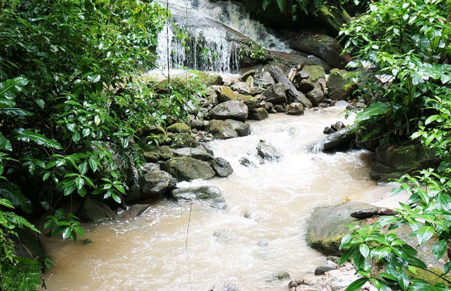 Ahuashiyacu Waterfall Day Trip - Photo 1