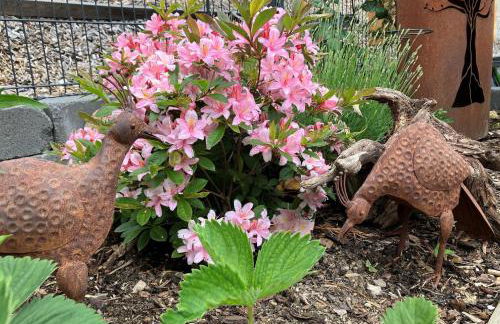 Ferien im Kühbergstadl - Foto 20