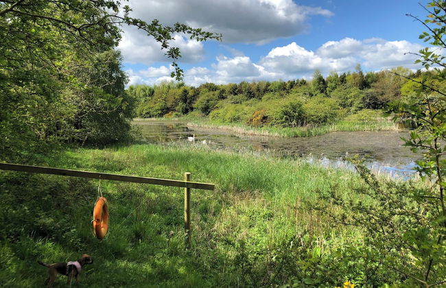 Ireby House - Photo 6