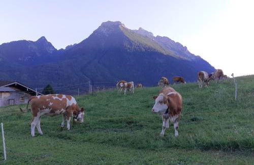 Klettnerlehen - Foto 24