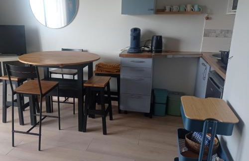 Le Studio Galliéni, face mer, vous accueille en été comme en hiver! - Foto 8