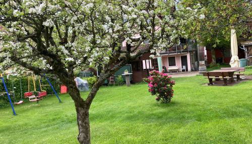 Ferienwohnung Singer - Foto 3, Garden