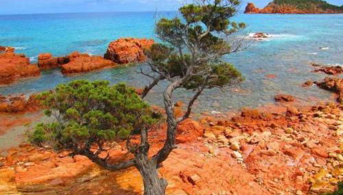 Sa Mariposa Holiday Home - Foto 3