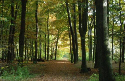 Hardter Auszeit - Foto 14