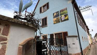 Charmant et chaleureux gîte dans le vignoble - Foto 1