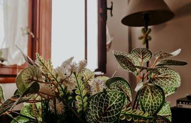 La Casetta in Montagna - Photo 27