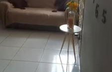 Ap semi mobiliado em residencial simples - Photo 5