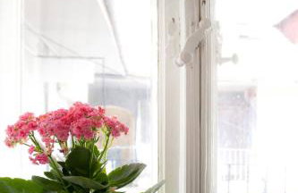 Apartments Top Center - Foto 43