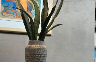 Flor da Serra - Foto 10