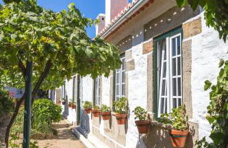 Quinta do Valdalágea - Foto 144