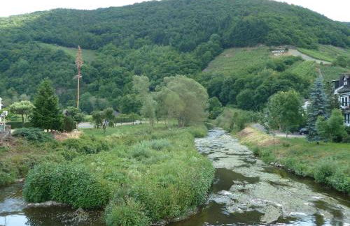 Relaxen im alten Winzerhaus Fewo OG - Foto 59