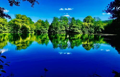 Ferienwohnung Niederlaasphe - Foto 23