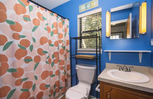 Green Parrot - Foto 19