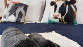 Azure Sunset - Photo 5