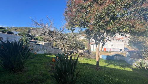 Entre a Serra e o Mar - Casa das Rosas de Barão - Foto 4