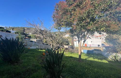 Entre a Serra e o Mar - Casa das Rosas de Barão - Foto 4