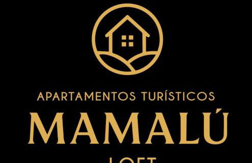 Loft Mamalú Jerez - Foto 20