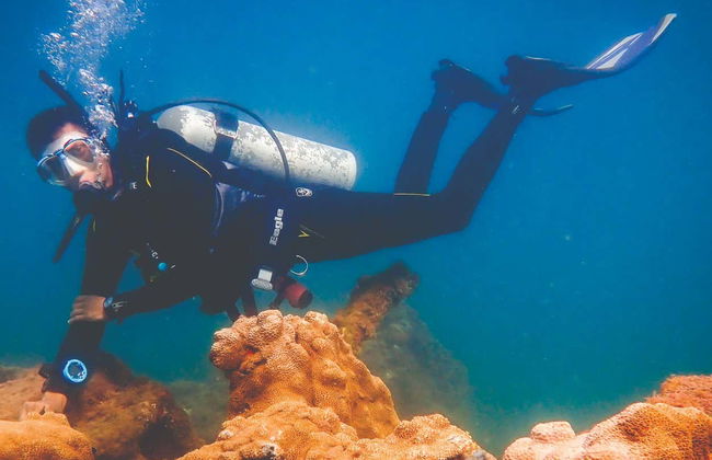Diving at Ilhabela Shipwrecks - Photo 8
