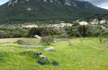 Casa Corofulu Oliena - IUN P2139 - Foto 13