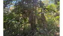 Loft com piscina natural em Cachoeiras de Macacu - Foto 3