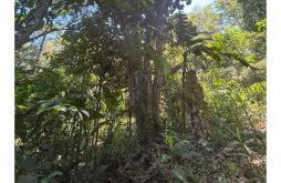 Loft com piscina natural em Cachoeiras de Macacu - Foto 3