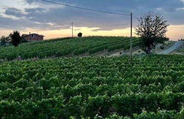 Villa Bricco 46 - Foto 27