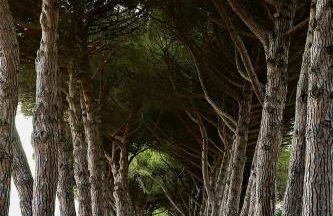 Agriturismo Borgo Campetroso - Foto 87