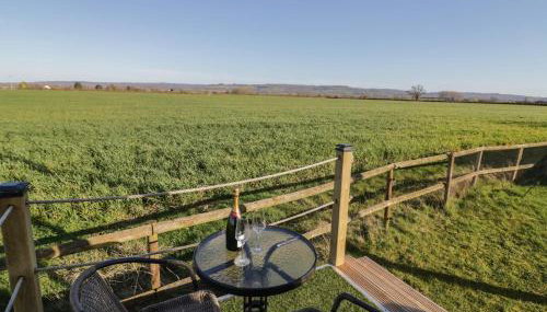 GiGi's Horsebox - Photo 2