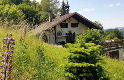 Unser Woidhaisl - idyllisches Ferienhaus im Bayerischen Wald - Foto 2