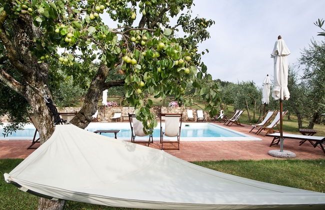 I Greppi di Silli - Foto 42