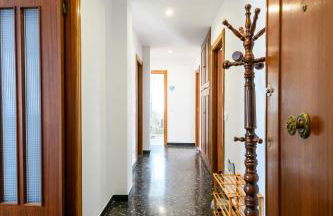 Chiwi's Home 2 - Photo 14