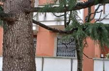 Bnbook Residenza Lo Scoiattolo - Foto 8