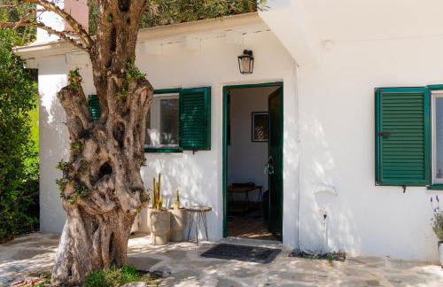 Villaluminosa - Photo 57