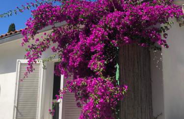 Appartamenti Sterlizia - Foto 34