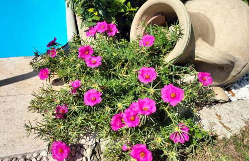 casa belvedere - Foto 40