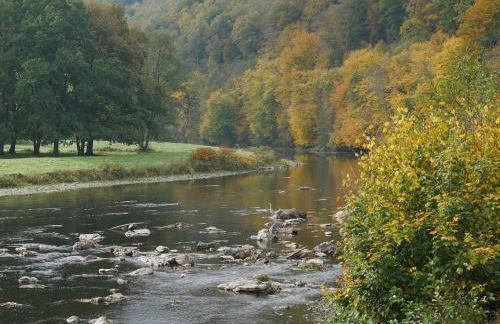 La Malavisée - Foto 32