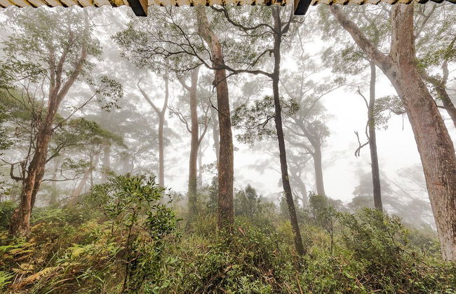 The Chalet - Foto 11