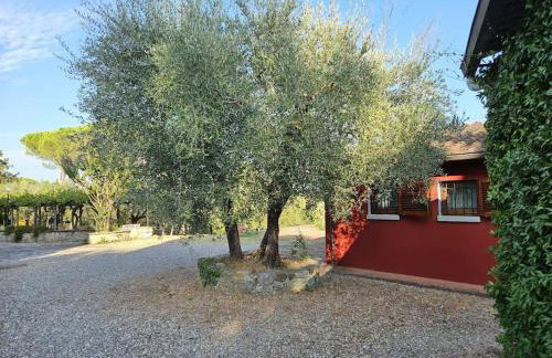 Casina Rossa - Foto 10