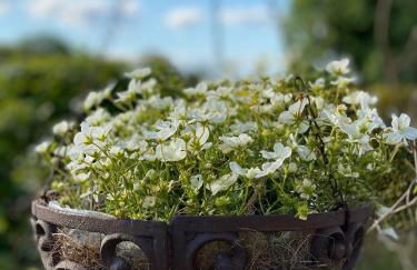 Hasselberger Huus - Foto 57