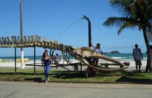 Casa 5 quartos ar cond piscina churrasqueira a 550 m da praia - Foto 23
