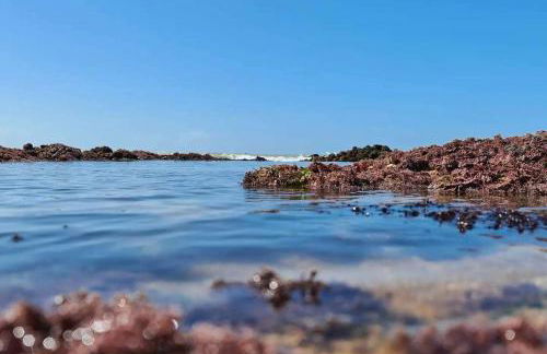 Solar de Manguinhos Flat - Photo 22