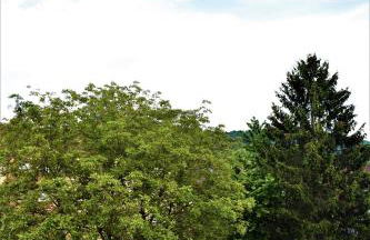 Heiligenbergblick - Foto 11