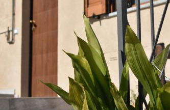 Cheryl Guest House - Foto 25