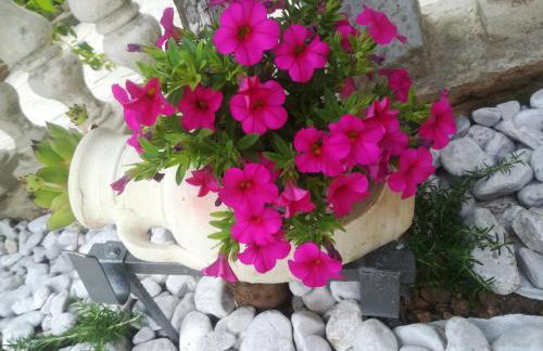 Apartman Pelcic,with WiFi and free parking - Foto 3