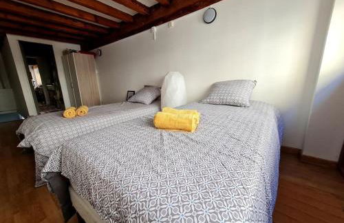 Duplex atypique loft Lyon 6 - Foto 16