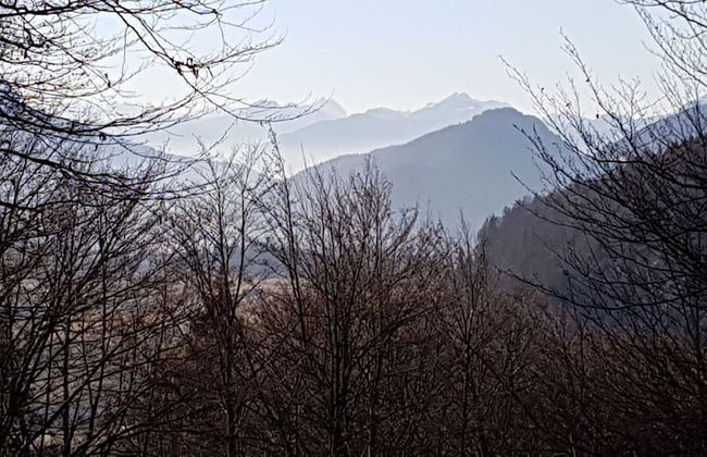 Haus am Wiesengrund - Foto 23