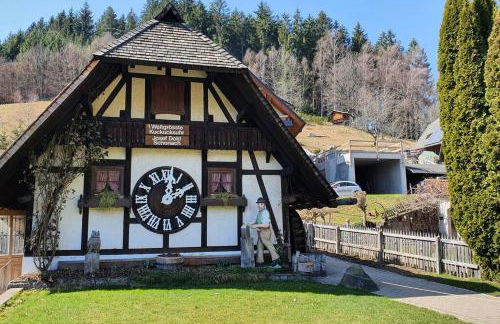 Black Forest Schwarzwaldliebe Pool Sauna Tennis Tischtennis Wifi Prime Tv Natur - Foto 32