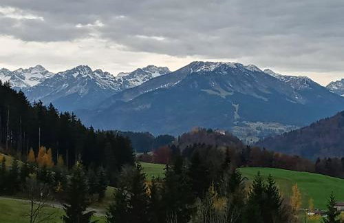 Turmfalke - Foto 2